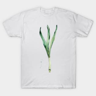 Narcissus T-Shirt